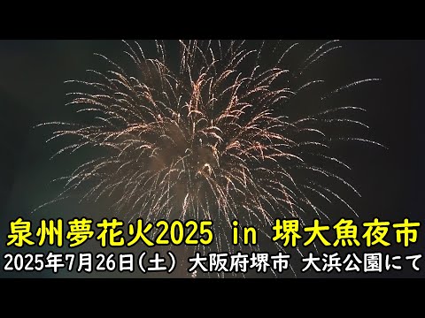 泉州夢花火2025 in 堺大魚夜市 （花火大会の模様）