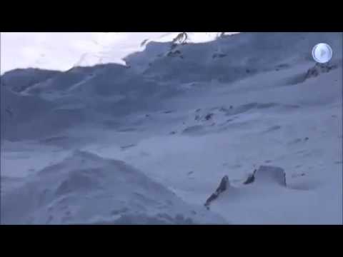 Five Skiers Caught In An Avalanche Caught On Video