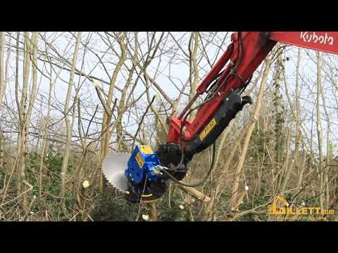 Scie d'elagage forestier fs75_5