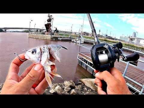 URBAN Fishing for RIVER MONSTERS!!! --Not what I Expected!