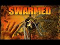 SWARMED Full Movie Monster Movies Creature Features Michael Shanks The Midnight Screening