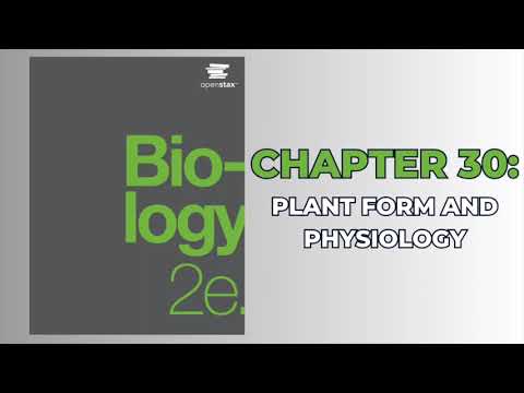 OpenStax Biology 2e (Audiobook) - Chapter 30: Plant Form and Physiology