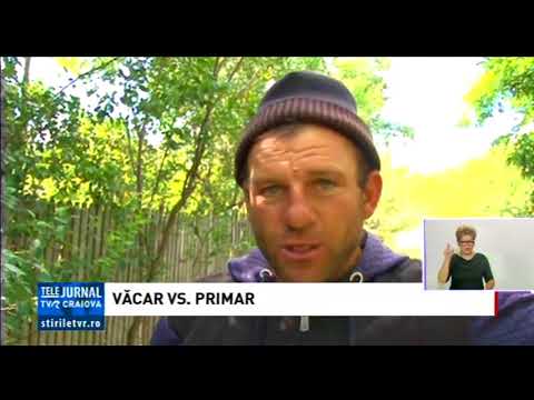 VĂCAR VS. PRIMAR