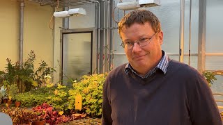 Samuel Wüst, wie trägt die Pflanzenzüchtung zur künftigen Landwirtschaft bei?