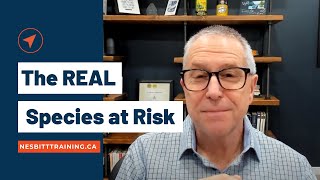 Video - The Real Species at Risk