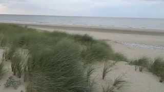 Gronant beach & dunes Flintshire Wales Terns Natterjack Toads