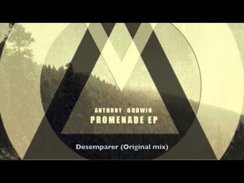 Anthony Godwin - Desemparer (Original mix) / Miocene. # Techno mélodic #