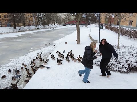 Heavy Snow Fall in Stockholm, Sweden - Walking on a snow day in Uppsala