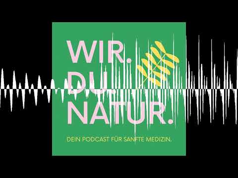Die Zitterpappel als Bach-Blütenessenz (Aspen) - WIR. DU. NATUR.