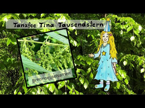 Brennnesselsamen - Wissen für Kinder 🌿