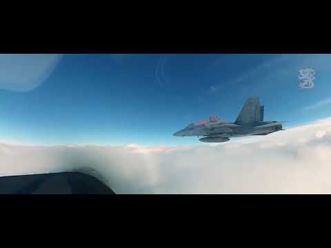 Finnish Military Power 2022 - The Russian Nightmare