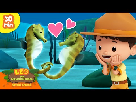 Witness21 Editor  2024 02 08