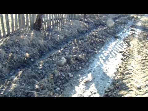 Strada Berilei ...Daesti ... Valcea