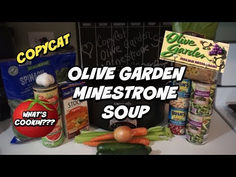 download lagu mp3 mp4 Vegetarian Minestrone Soup Olive Garden, download lagu Vegetarian Minestrone Soup Olive Garden gratis, unduh video klip Vegetarian Minestrone Soup Olive Garden