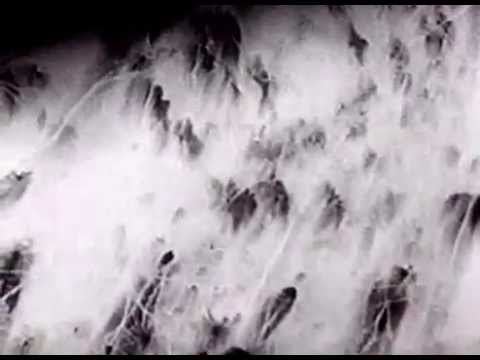 Luftwaffe Ju 88 Kampfgeschwader 3