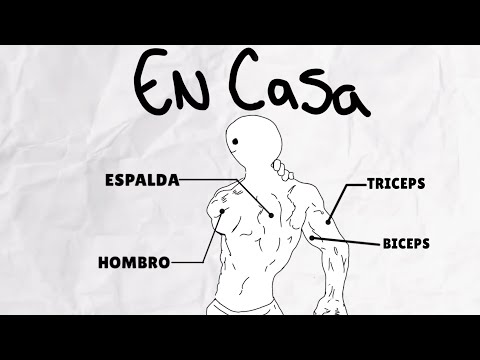 HOW TO Build an AESTHETIC PHYSIQUE FROM HOME