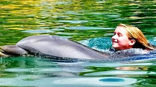 Swimming with Dolphins at Discovery Cove | Swim with Dolphins | Swim with Sharks