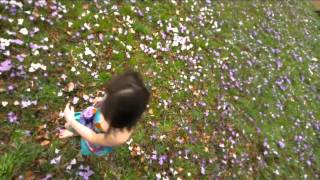 Shampooing Patrick Pleau