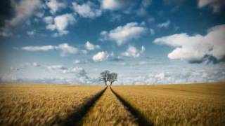 Tiago Bettencourt - O campo