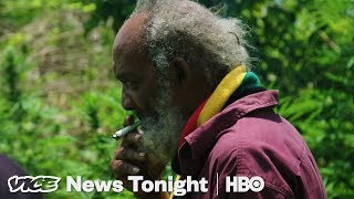 Jamaicans Are Worried Foreigners Will Take Over the Ganja Market (HBO)
