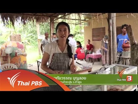* The North องศาเหนือ : เกษตรรุ่นใหม่...ไม่สำเร็จรูป byThaiPBS