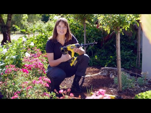 The Garden Gurus 2 Ways to make your garden look great