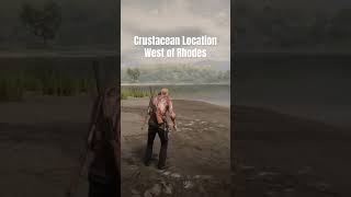Red Dead Redemption 2: Crustacean Location West of Rhodes #gaming #xbox #rdr #arrakisstudio