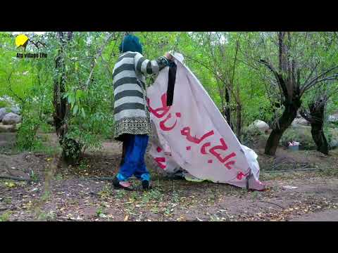 Awesome Almond Cultivation | Almond Forming | Village Life In Afghanistan