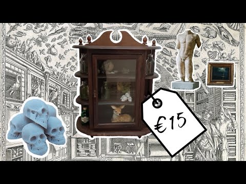 Making a Cabinet of Curiosities With Less Than €15