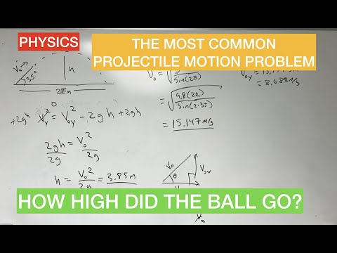 How high did this projectile motion go?