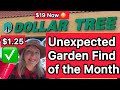 Money SAVING Dollar Tree Garden Supplies For Propagating Container Gardening Hummingbird Fountain