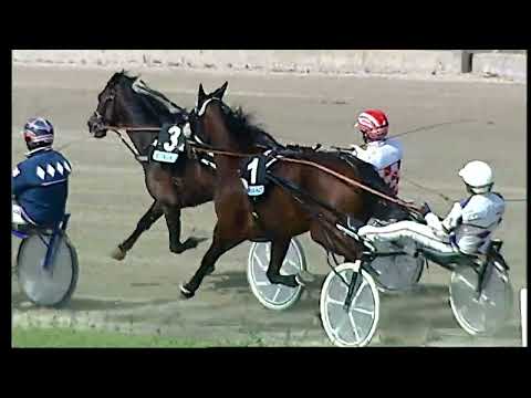 Napoli Trotto 15/04/2022 - 4ª corsa