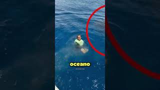 Download lagu Ele pulou em um cardume! mp3 Download lagu Ele pulou em um cardume! mp3