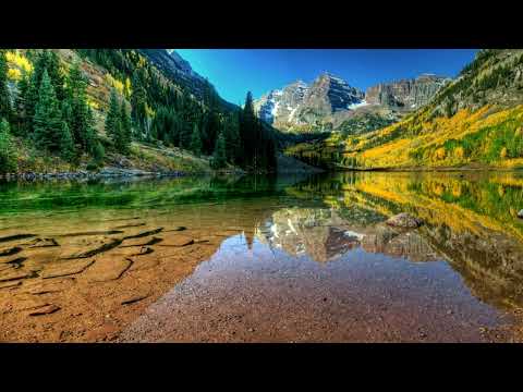 Mi vida está en tus manos