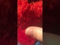 Squeaky Ymca Elmo