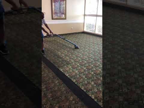 Watch Bluecat Carpet Cleaning - Carpet Cleaning Demo on YouTube