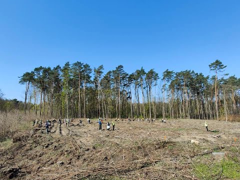 Posadźmy razem las 2023