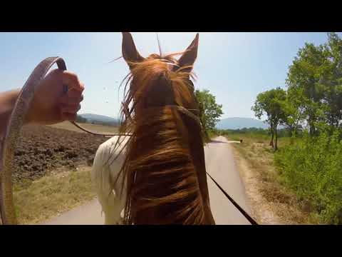 Gita a cavallo Da Sepino a Cercepiccola