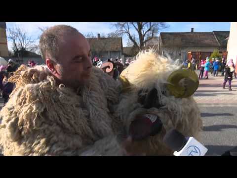 JTV Híradó 2016/06 - 2016.02.14.