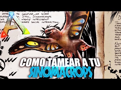 HOW TO TAME YOUR SINOMACROPS | Spanish Guide | Ark: Survival Evolved