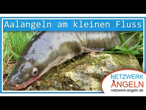Best für die Behandlung der Schuppenflechte Das Ekzem der Standard der Behandlung