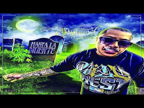 9.- MR. Shadow // Vamos A Disfrutar // Hasta La Muerte