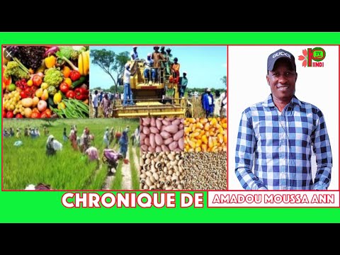 Chronique de Amadou Moussa ANN