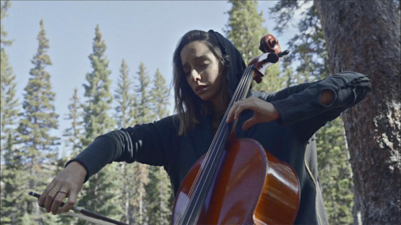 How nature inspires a powerful range of cinematic expression