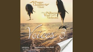 Ave Maria païen (From the Musical &quot;Notre Dame de Paris&quot;)