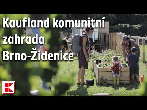 Kaufland komunitní zahrada Brno-Židenice | Kaufland