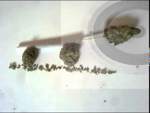 Aldubb - Free Sensimilla Now