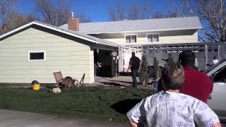 preview picture of video 'Bull in basement in Worland Wyoming 1'