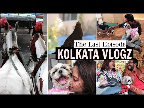 Chariot Ride Kolkata | Best Pet Cafe Kolkata | Meeting Best Friend After Long Time