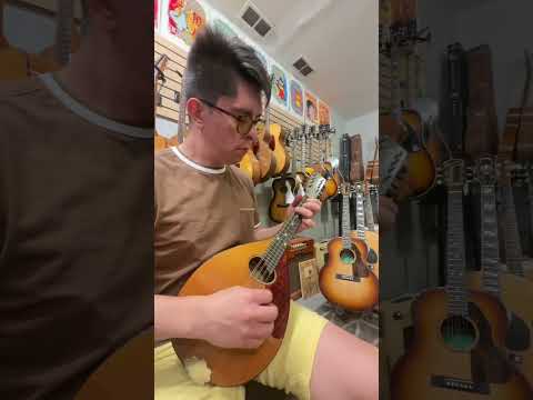 Washburn Style E No 2904 1940s image 7
